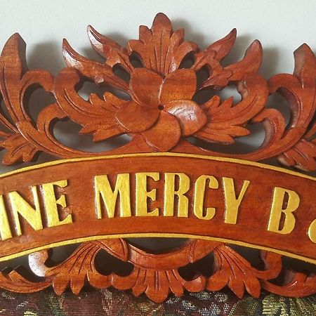 Divine Mercy B&B Knock  Extérieur photo