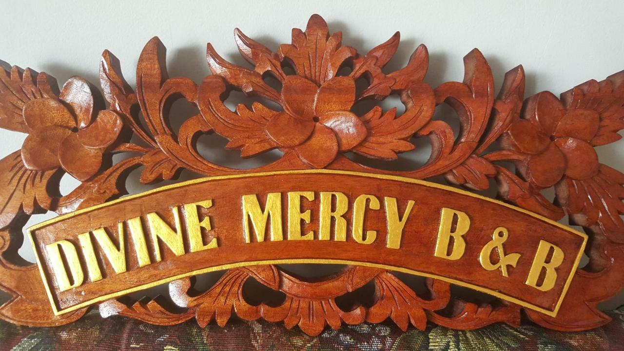 Divine Mercy B&B Knock  Extérieur photo